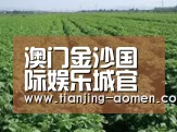 种植基地五(图1)