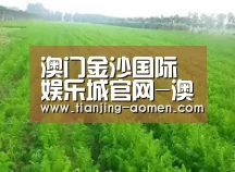 种植基地四