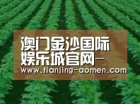 种植基地六(图1)