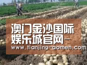 种植基地七(图1)