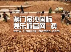 种植基地二