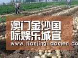 种植基地八