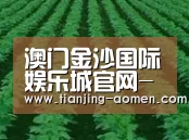 种植基地六