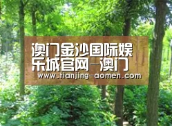 种植基地九