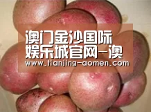 产品展示标题1